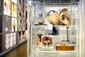 museum boerhaave 3-2022 1188